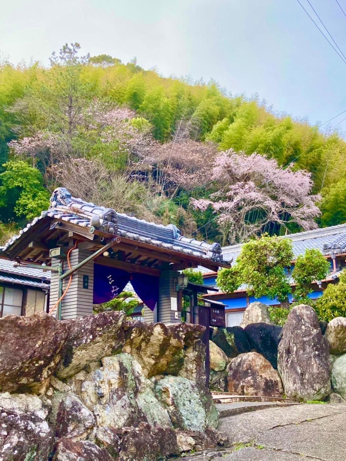 Villa 三井家ペットと泊れる一軒家らんまんで話題の牧野植物園まで25分